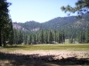 Across the Meadow.jpg