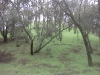 IMG20121206_002.jpg