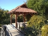 IMG_20201030_102352784.jpg