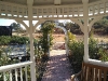 IMG_20201030_102222026.jpg