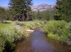Hot Springs Creek.jpg