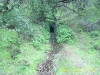 DSCI2379.jpg