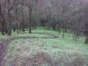 IMG20121206_007.jpg