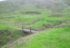 DSCI2345.jpg