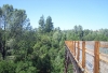 Bridge Side.jpg