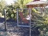 IMG_20201030_101857376.jpg