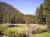 From Meadow.jpg