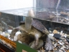100_0025.jpg