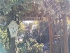 IMG_20201030_102151635.jpg
