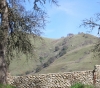 Hills Behind Wall.jpg