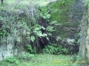 DSCI2383.jpg